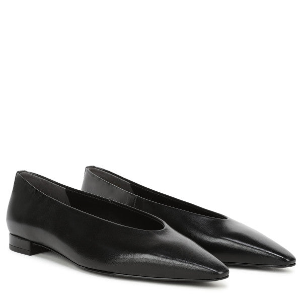 Emory Pointed Toe Ballet Flat
