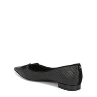 Esmira Pointed Toe Ballet Flat