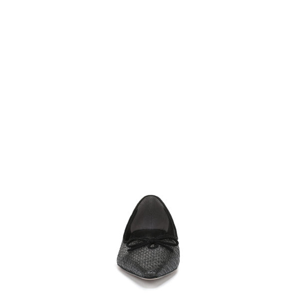 Esmira Pointed Toe Ballet Flat