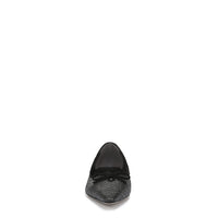 Esmira Pointed Toe Ballet Flat