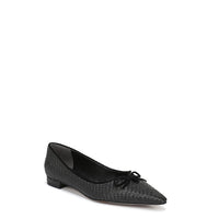 Esmira Pointed Toe Ballet Flat