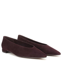 Emory Pointed Toe Ballet Flat