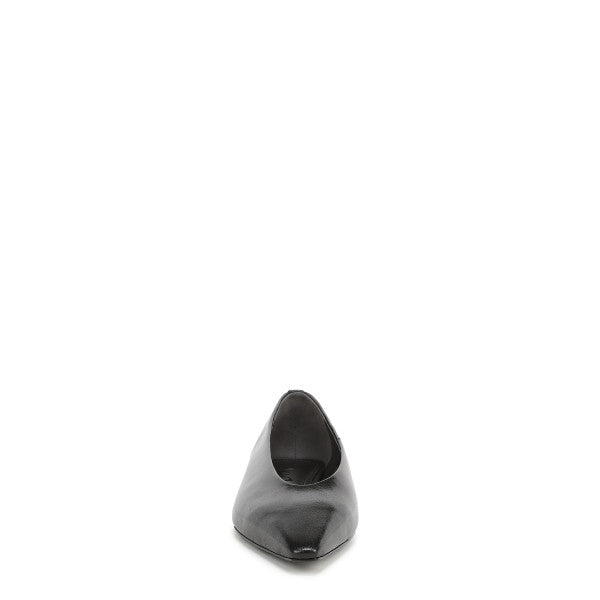 Emory Pointed Toe Ballet Flat