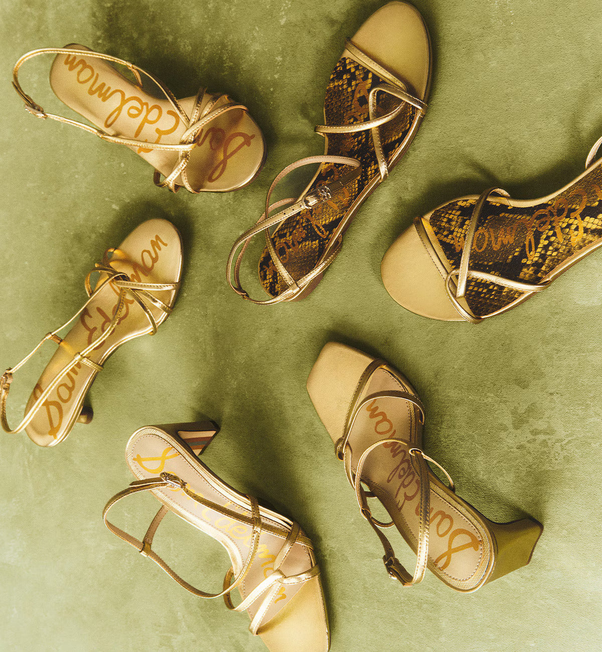 (取寄) サムエデルマン レディース ベイ ゼリー Sam Edelman women Bay Jelly Buttercup 取寄) サムエデルマン レディース ベイ ゼリー シューズ サンダル